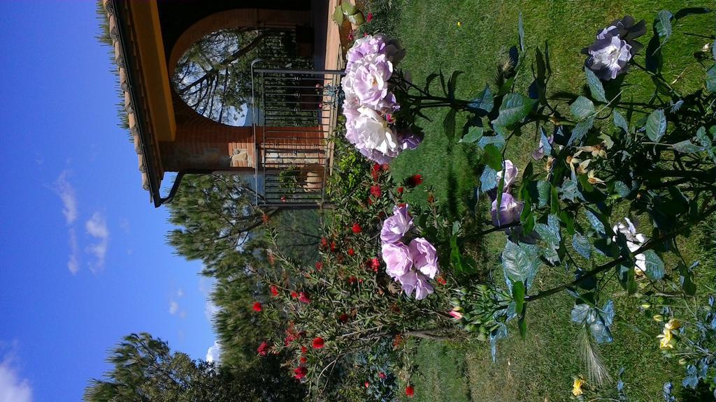 Bed and Breakfast La Biocca Poggio Murella Exterior foto
